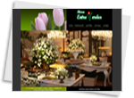www.floraentreverdes.com.br